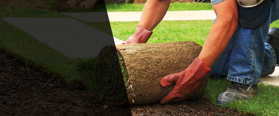 Pigeon Forge Landscapers